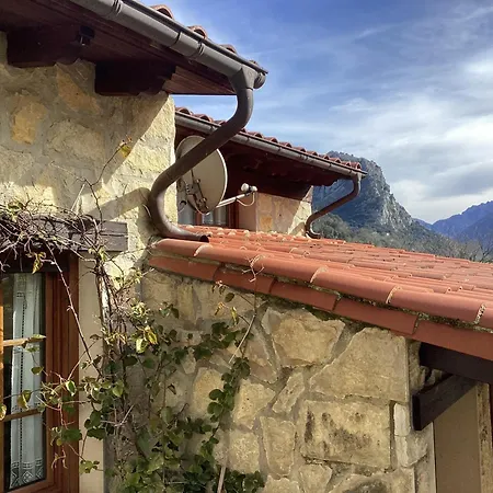 El Ardinal Apartament *