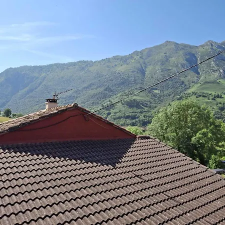 El Ardinal Apartament